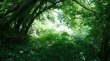 Buzan (Ariège, Occitanie), 22 juillet 2018