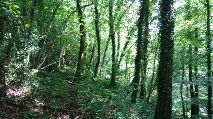 Buzan (Ariège, Occitanie), 22 juillet 2018