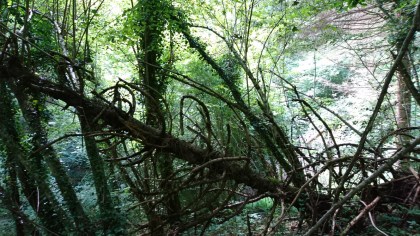 Buzan (Ariège, Occitanie), 22 juillet 2018