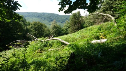 Buzan (Ariège, Occitanie), 22 juillet 2018