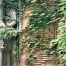 Toulouse (Occitanie, France), cour d'un immeuble, rue de la Pomme