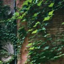 Toulouse (Occitanie, France), cour d'un immeuble, rue de la Pomme