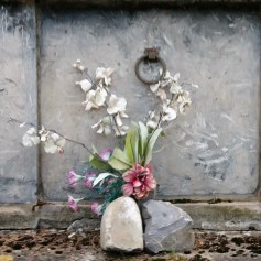 Cimetière de Blajan (Haute-Garonne, Occitanie, France), 30 octobre 2019