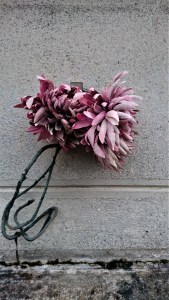 Cimetière de Saint-Girons (Ariège, Occitanie, France), 30 octobre 2019