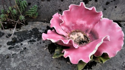 Cimetière de Saint-Girons (Ariège, Occitanie, France), 30 octobre 2019