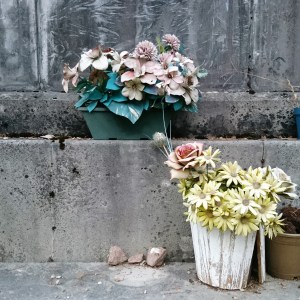 Cimetière de Saint-Girons (Ariège, Occitanie, France), 30 octobre 2019