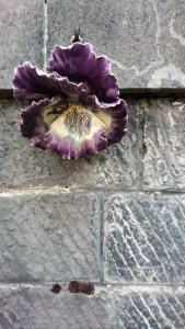 Cimetière de Saint-Girons (Ariège, Occitanie, France), 30 octobre 2019