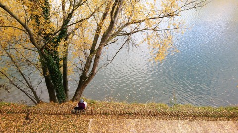 Toulouse (Occitanie, France), la Garonne depuis la rue de la Digue, 29 novembre 2019