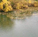 Toulouse (Occitanie, France), la Garonne depuis la rue de la Digue, 30 novembre 2019