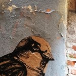 Toulouse (Occitanie, France), rue Bédelières, 25 novembre 2019