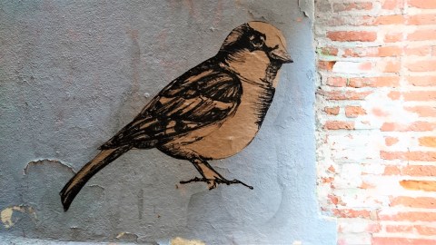 Toulouse (Occitanie, France), rue Bédelières, 25 novembre 2019