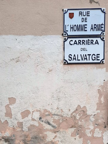 Toulouse (Occitanie, France), Rue de l'homme armé = Carrièra del salvatge, 27 octobre 2020