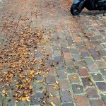 Toulouse (Occitanie, France), place Mage = plaça Màger dels Afachadors, 28 octobre 2020