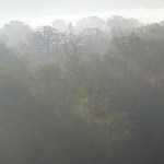 Les bords de Garonne à Toulouse (22 novembre 2020)