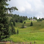 Passo Vezzena (Levico Terme, TR, Italia) = col Vezzena (Levico Terme, Trentin, Italie), 4 juillet 2021