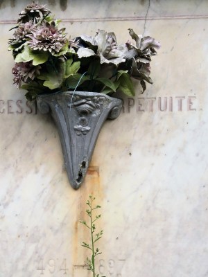 Toulouse (Occitanie, France), cimetière de Rapas, 21 septembre 2021