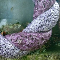 Toulouse (Occitanie, France), cimetière de Rapas, 21 septembre 2021