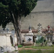 Toulouse (Occitanie, France). Cimetière de Rapas, 2021.