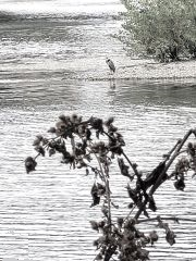 Toulouse (Occitanie, France), 7 octobre 2024