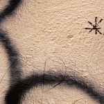 Dicono che chi non piange si allarga dentro (On dit que ceux qui ne pleurent pas s’inondent au-dedans). Vicenza (Vénétie, Italie), 29 juin 2023. Photo Philippe Le Pape.